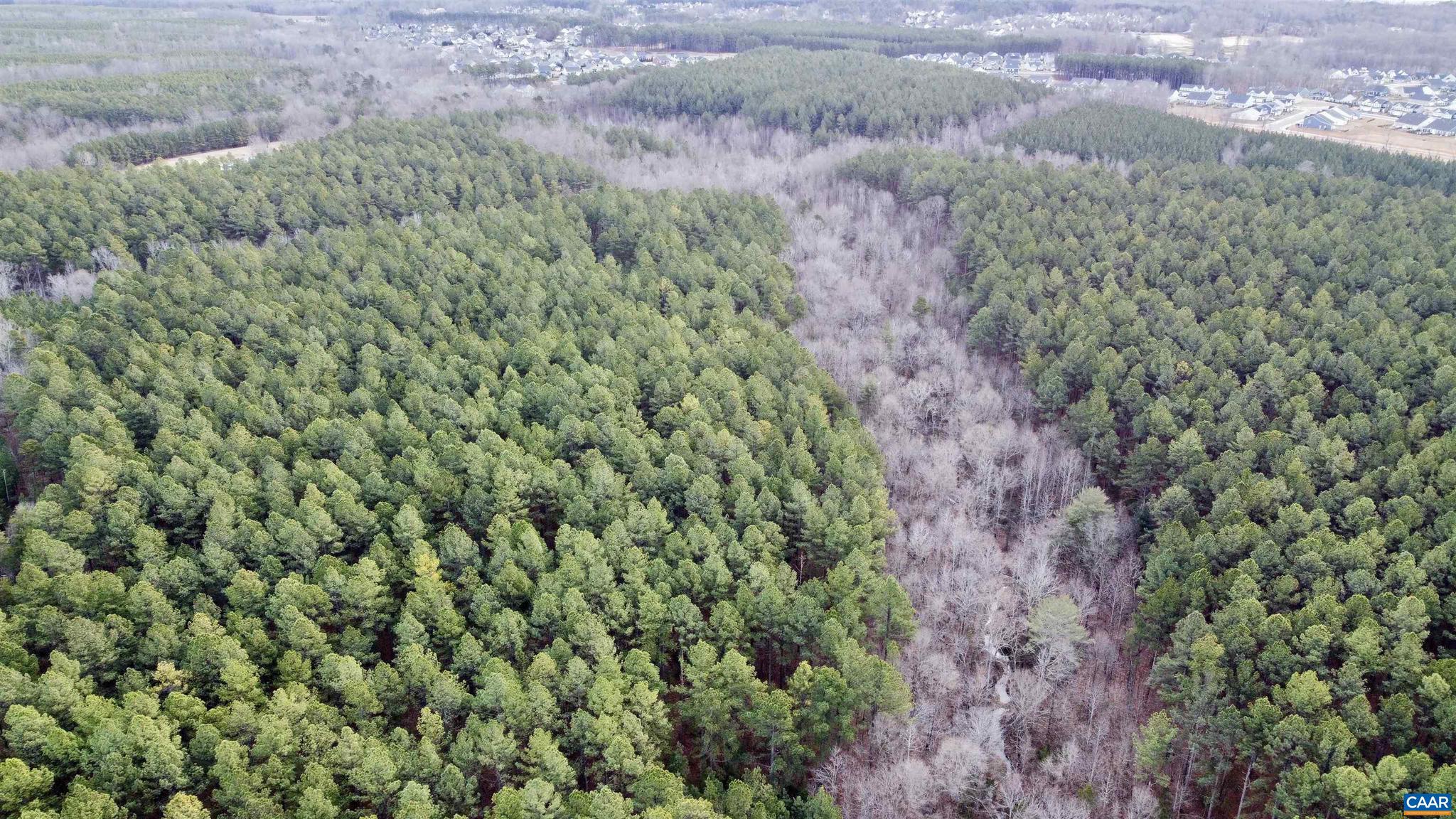 0 Green Spring Road Gordonsville, VA 22942 - Photo 15 of 20