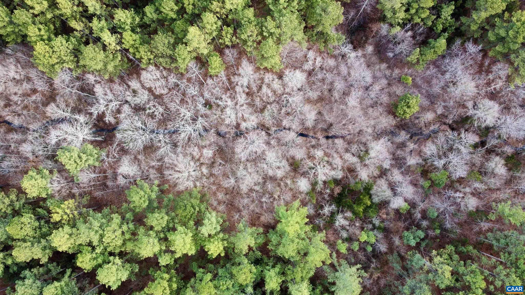 0 Green Spring Road Gordonsville, VA 22942 - Photo 16 of 20