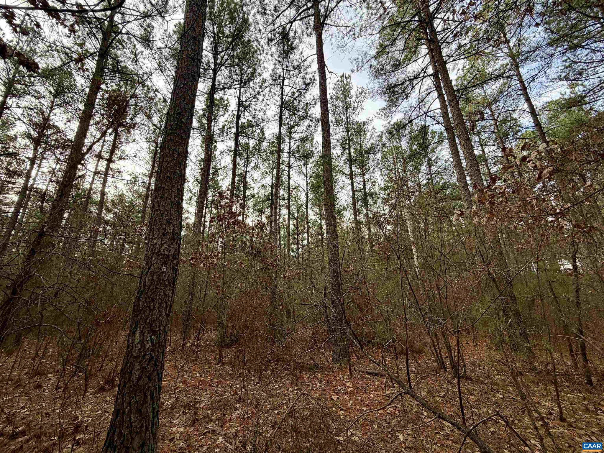 0 Green Spring Road Gordonsville, VA 22942 - Photo 17 of 20