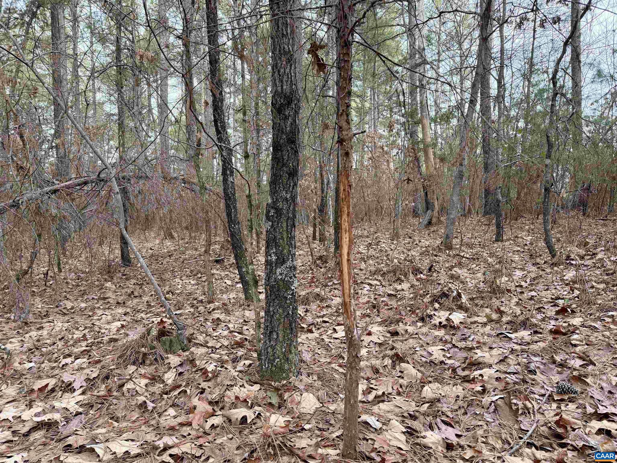 0 Green Spring Road Gordonsville, VA 22942 - Photo 18 of 20