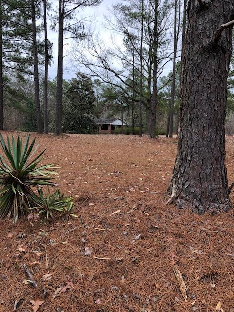 126 County Rd O C - 3380 Elloree, SC 29047 - Photo 13 of 13 Canebrake lot