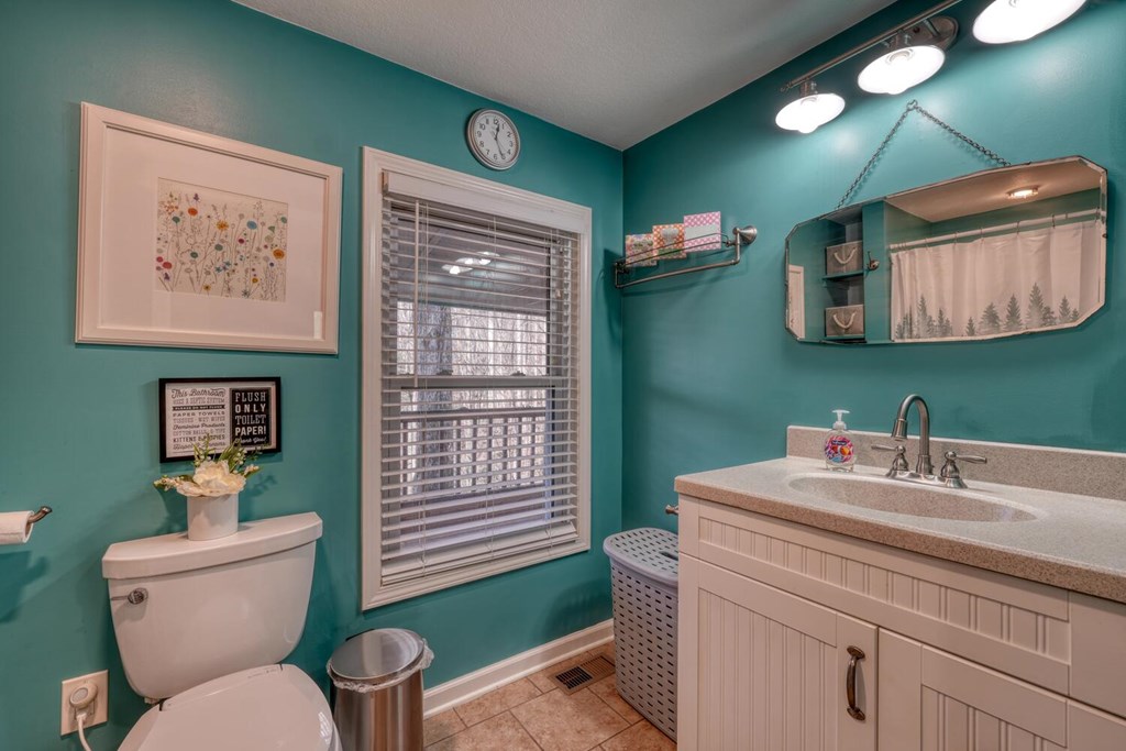 3035 Skeenah Gap Road Suches, GA 30572 - Photo 26 of 33 a bathroom with a toilet sink and mirror