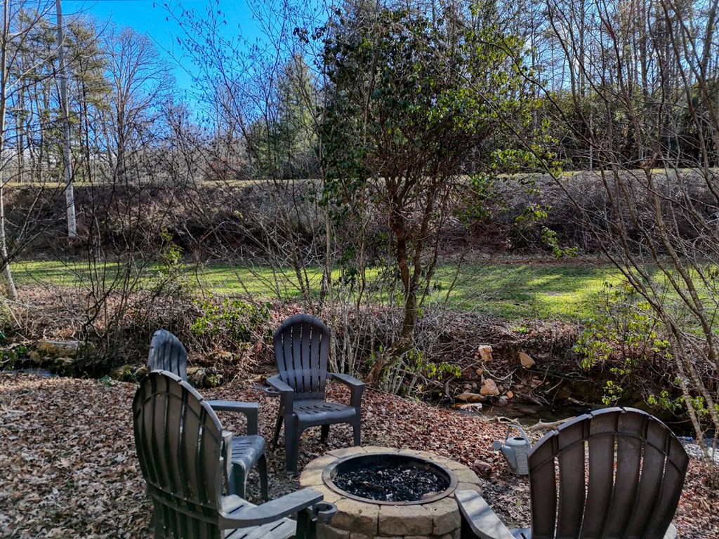 3035 Skeenah Gap Road Suches, GA 30572 - Photo 30 of 33 a view of a backyard with plants and a patio