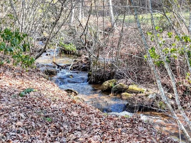 $2,200 | 3035 Skeenah Gap Road, Suches, GA 30572