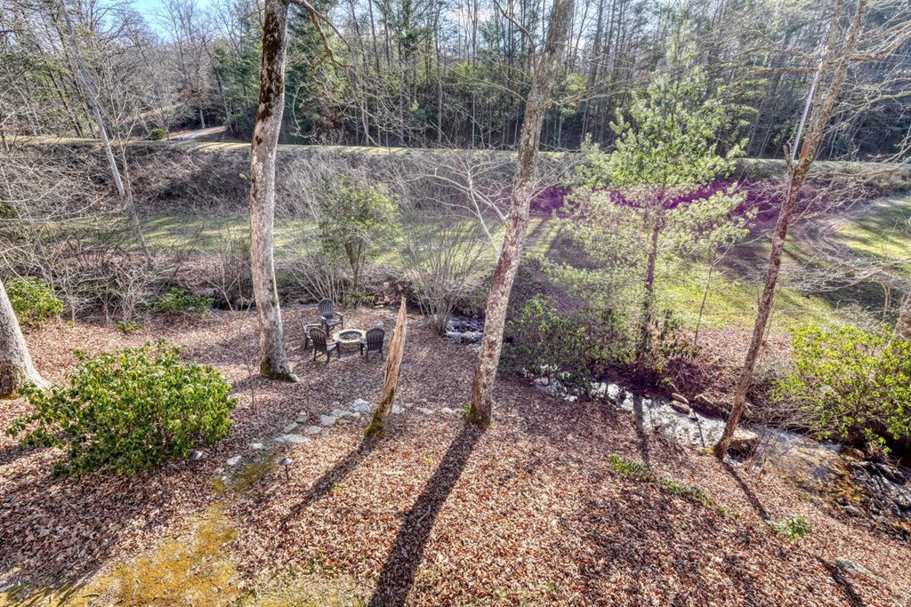 3035 Skeenah Gap Road Suches, GA 30572 - Photo 32 of 33 a view of a forest with a tree