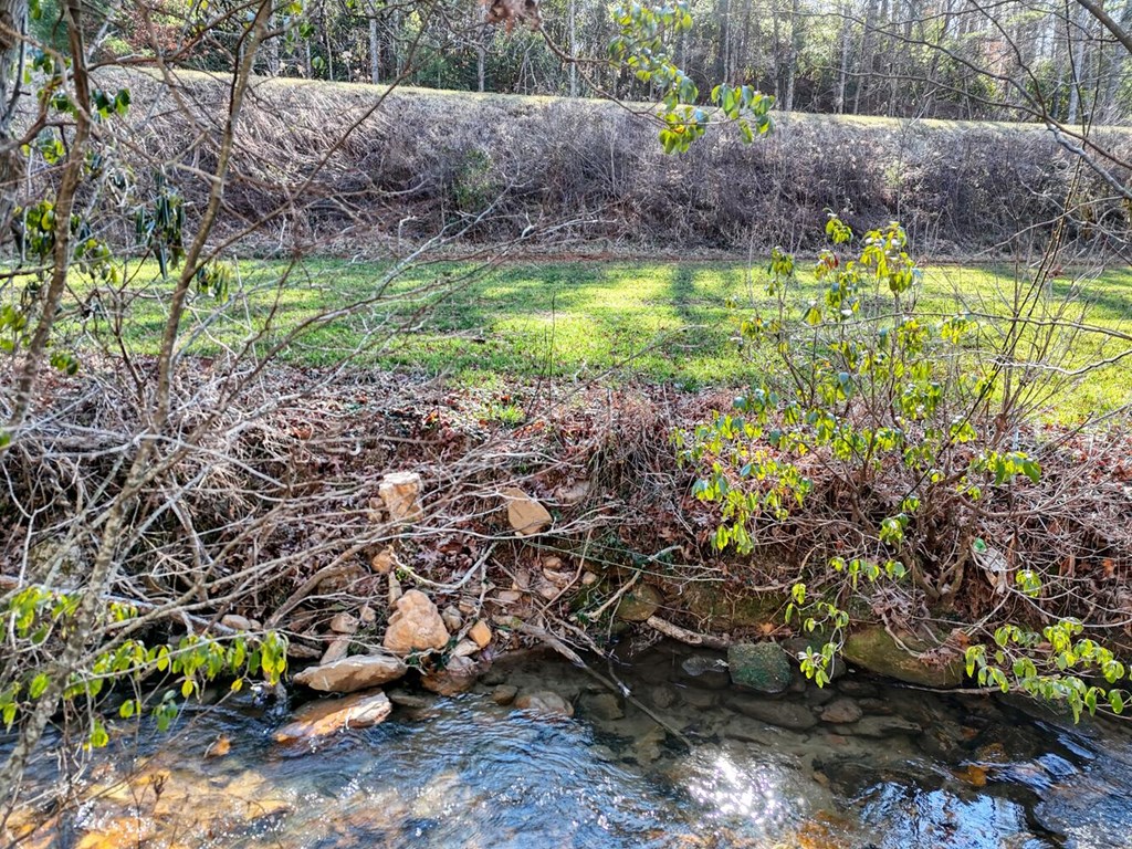 3035 Skeenah Gap Road Suches, GA 30572 - Photo 33 of 33 a view of a yard with large trees