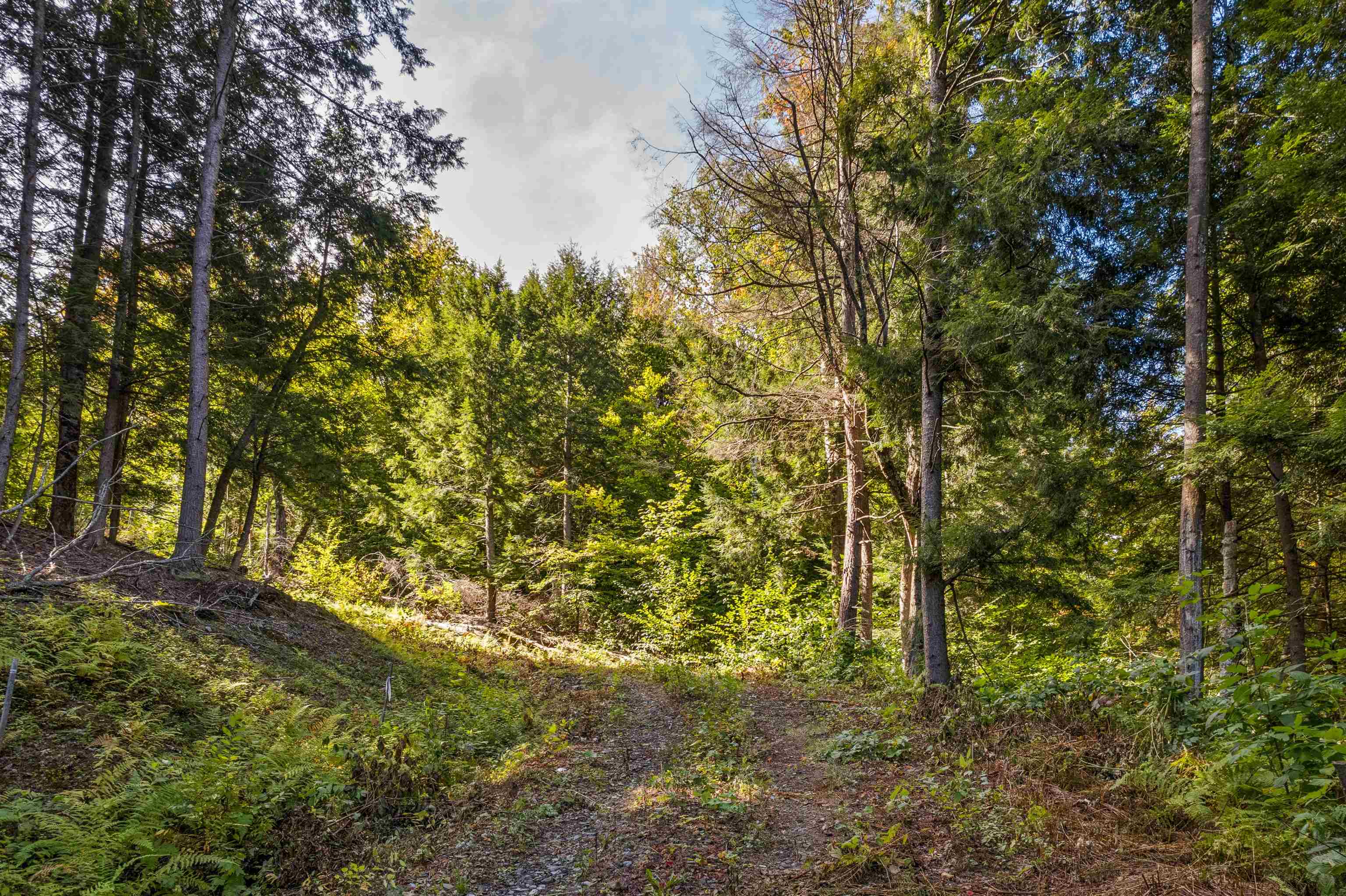 664 Ranney Road Stockbridge, VT 05772 - Photo 5 of 19 Gallery Image 5