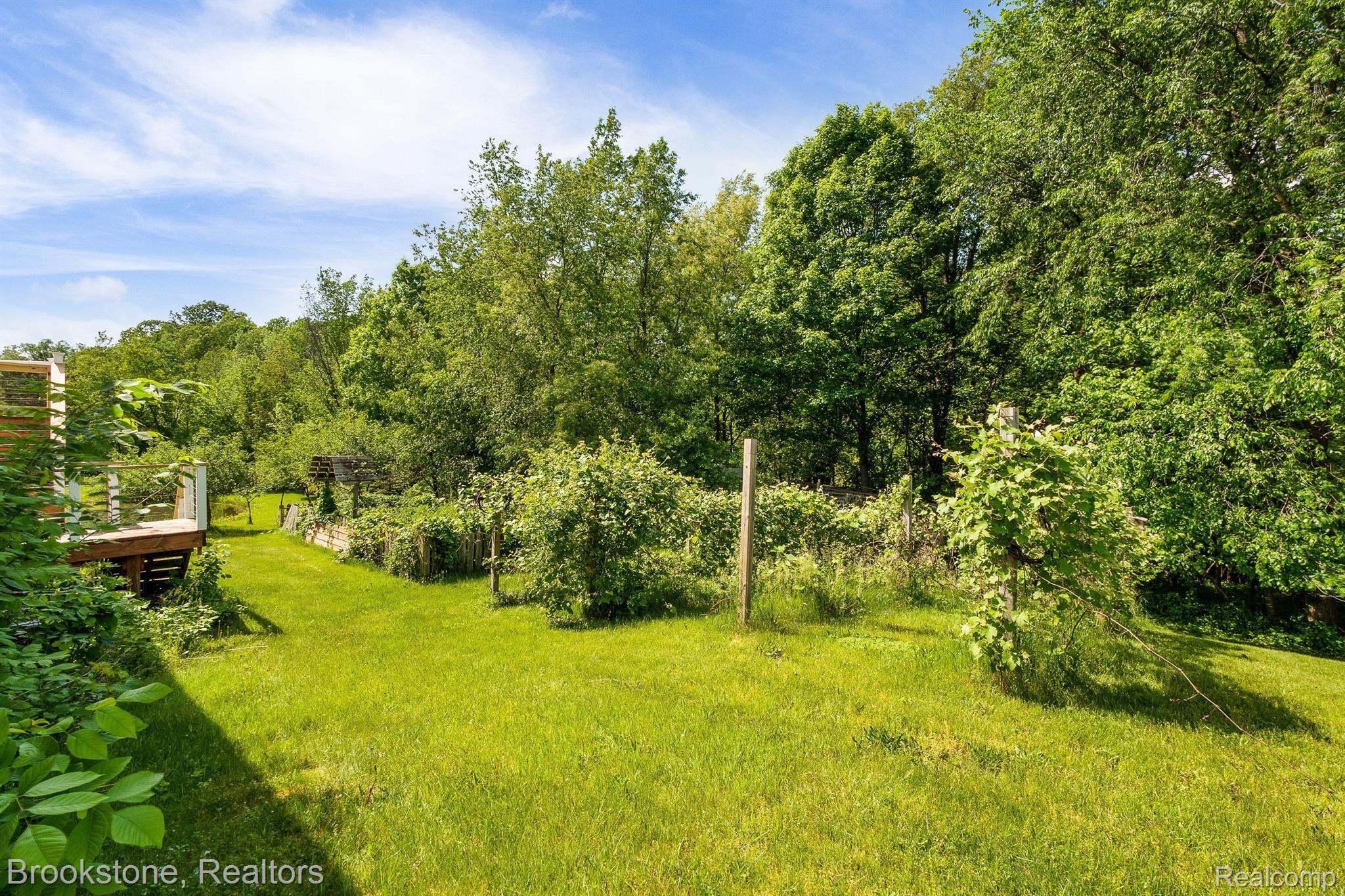 5250 Bishop Road Dryden, MI 48428 - Photo 28 of 65 Grape Vines