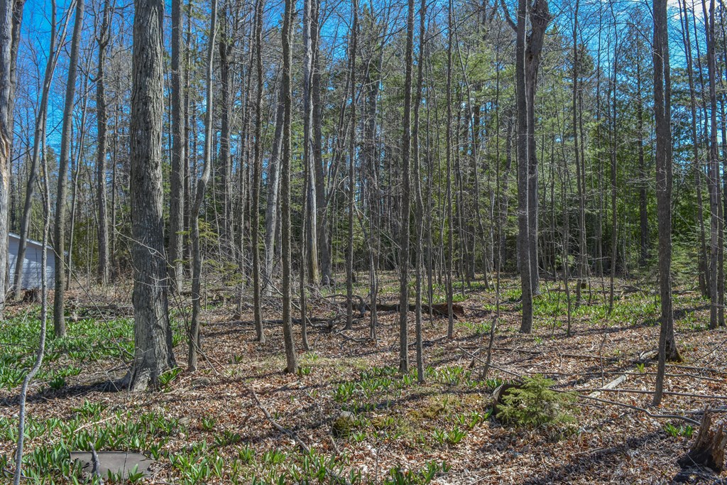 12397 Garrett Bay Road Ellison Bay, WI 54210 - Photo 6 of 48 Gallery Image 6