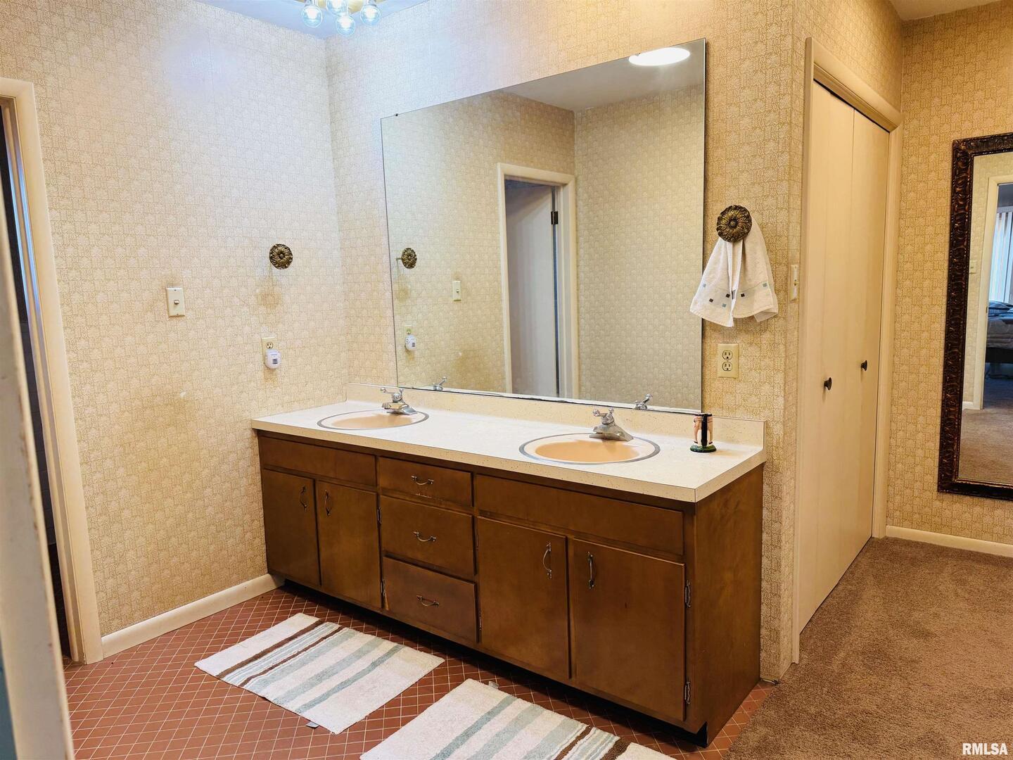 800 South Green Street Anna, IL 62906 - Photo 37 of 44 a bathroom with a sink and a mirror