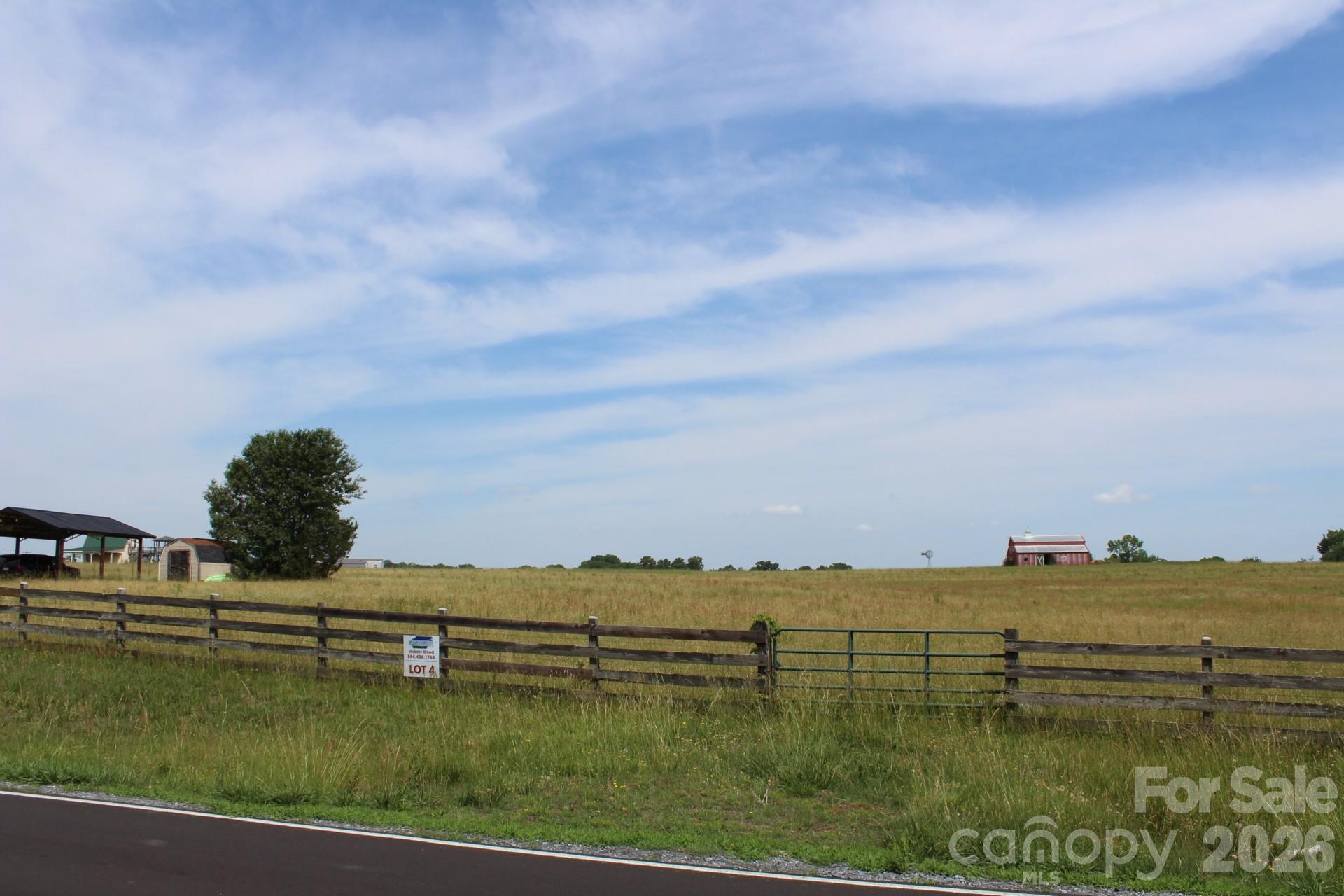 Lot 4 Ted Smith Road, Unit 4 Rutherfordton, NC 28139 - Photo 2 of 25