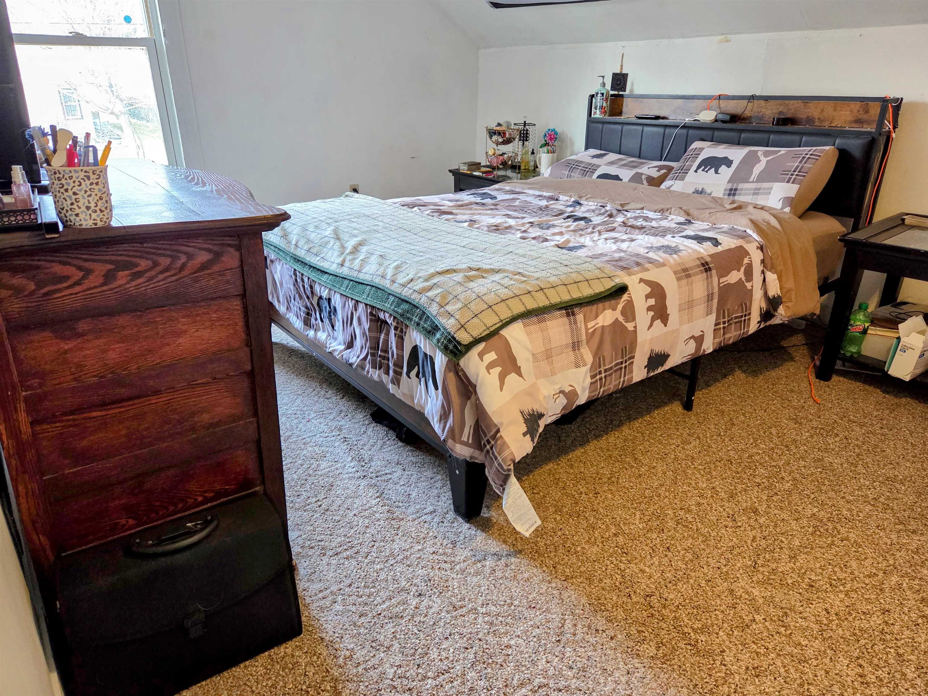 225 South Main Street Iola, WI 54945 - Photo 8 of 22