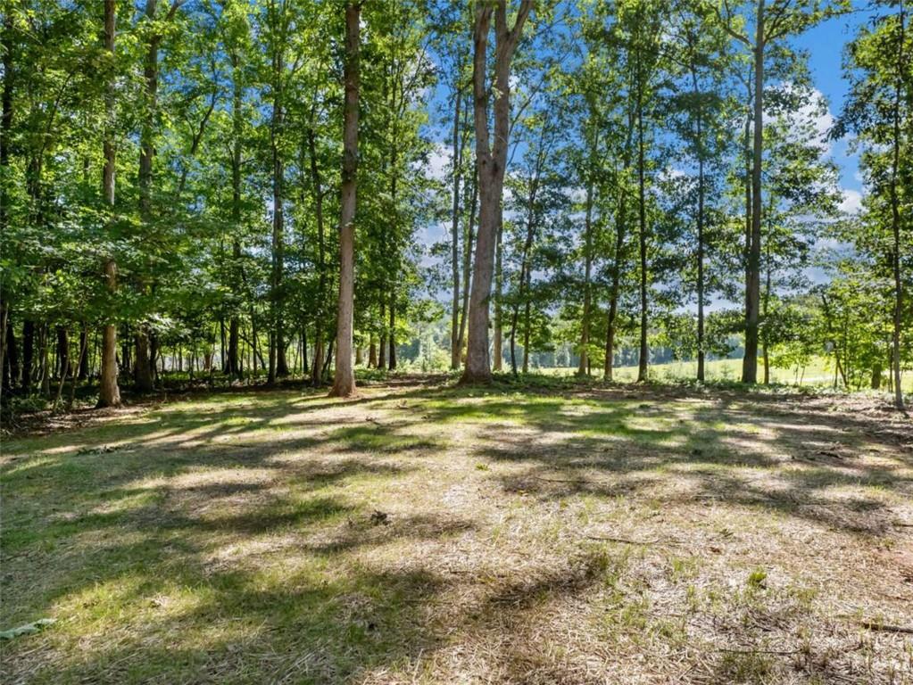 1885 Post Road Cleveland, GA 30528 - Photo 44 of 49
