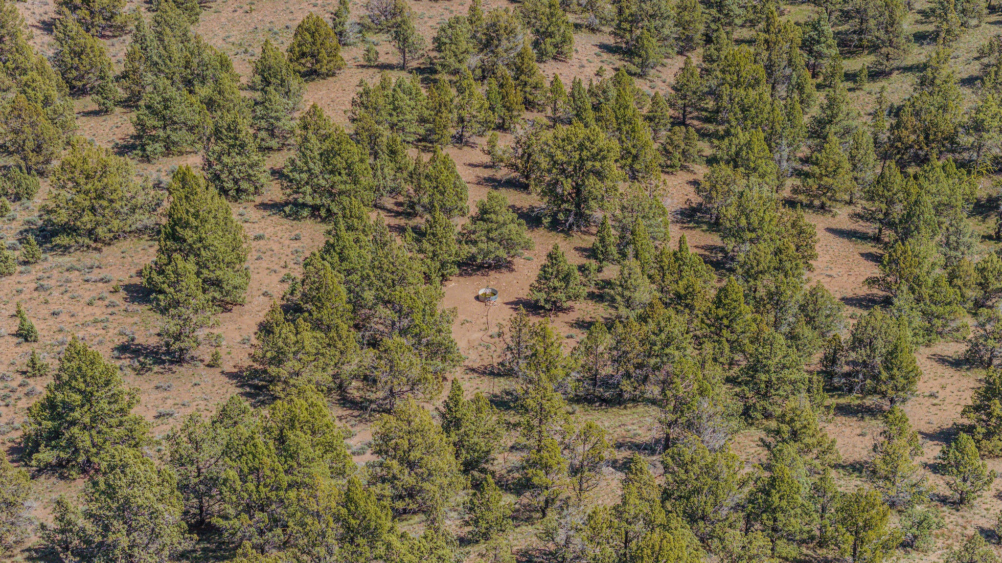 41225 Van Lake Road Prineville, OR 97754 - Photo 150 of 181 DJI_20260430141146_0265_D-HDR