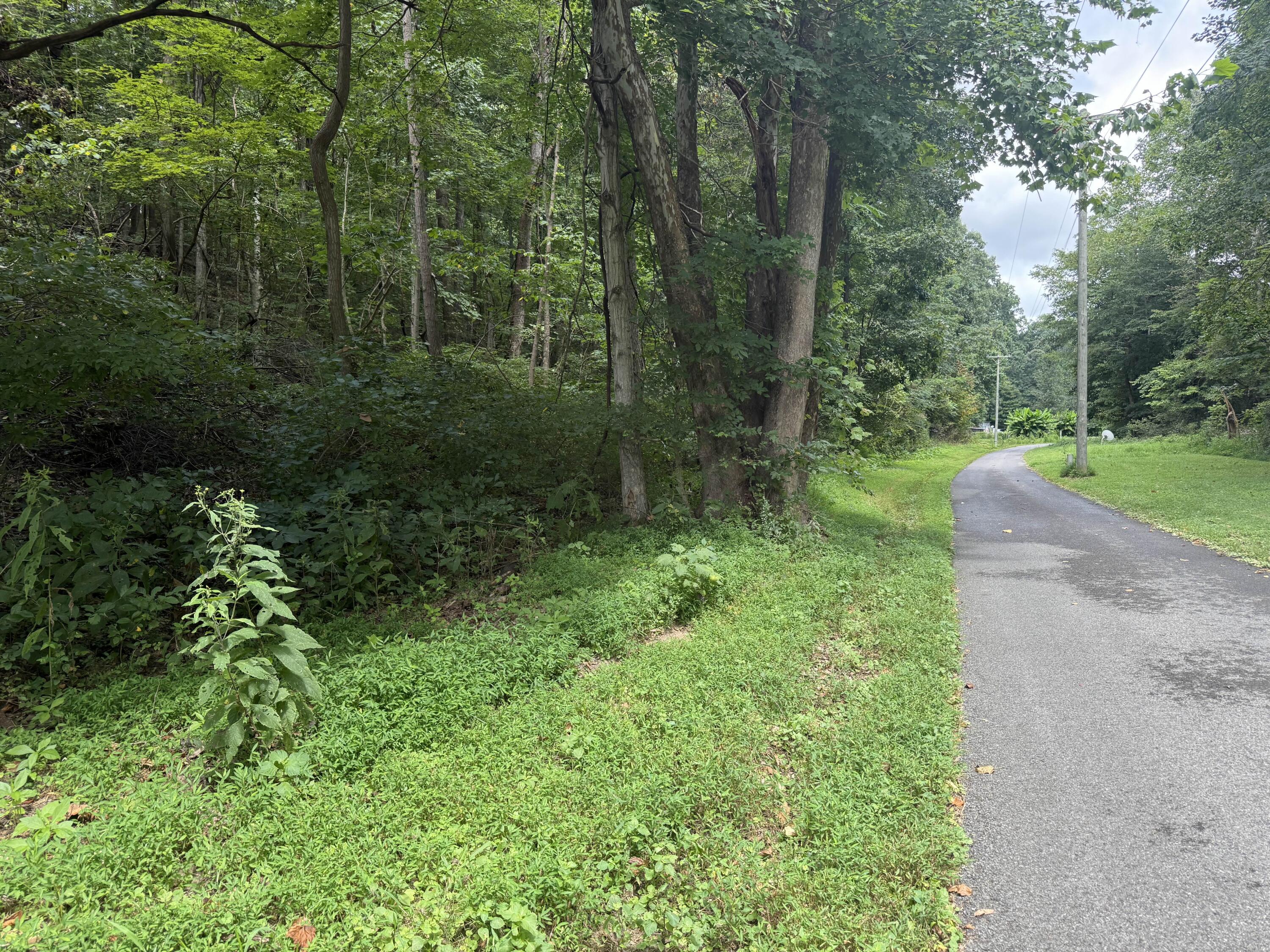0 Perry Springs Road Eddyville, KY 42038 - Photo 6 of 41 40