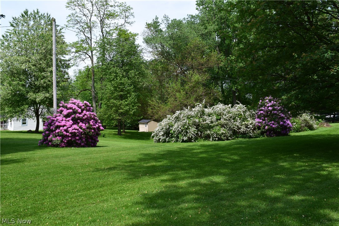3949 Cox Road Barberton, OH 44203 - Photo 5 of 25 Gallery Image 5
