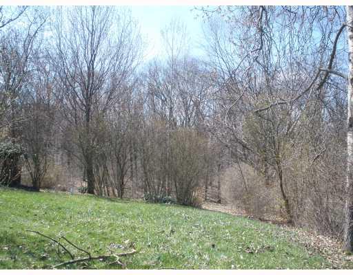 132 Wall Street Rochester, PA 15074 - Photo 5 of 8 Land/Lot.