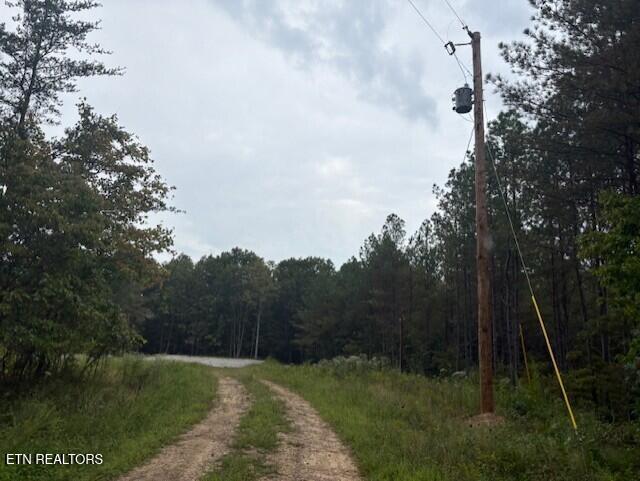 674 Rhodas Way Sunbright, TN 37872 - Photo 2 of 8 thumbnail_IMG_6640