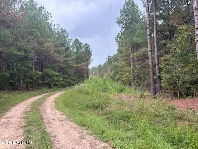 $170,000 | 674 Rhodas Way, Sunbright, TN 37872