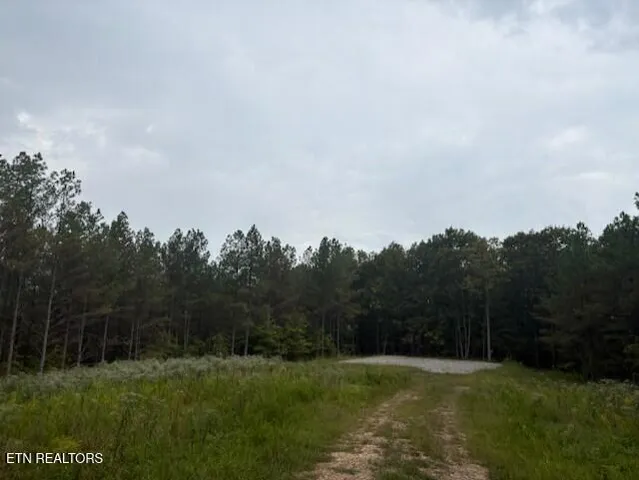 $170,000 | 674 Rhodas Way, Sunbright, TN 37872