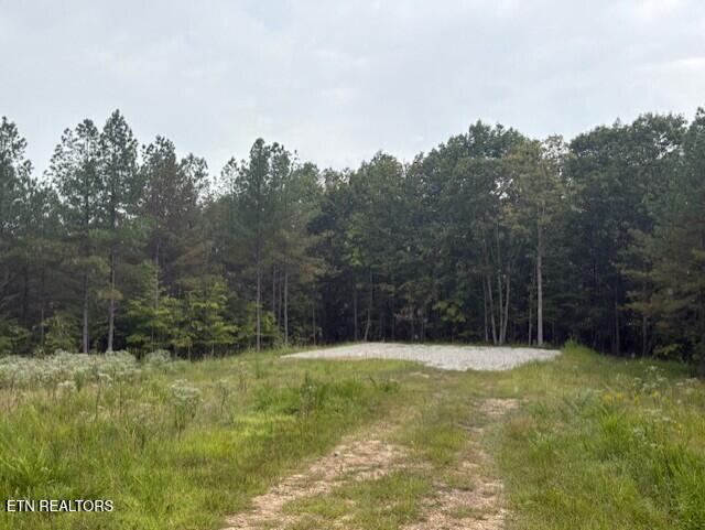 674 Rhodas Way Sunbright, TN 37872 - Photo 5 of 8 thumbnail_IMG_6646