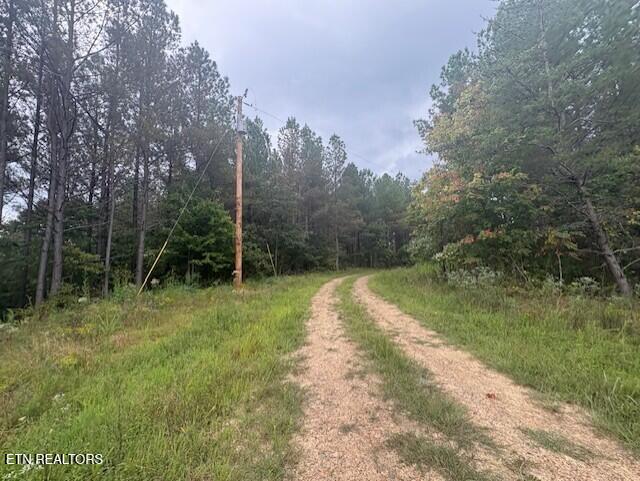 674 Rhodas Way Sunbright, TN 37872 - Photo 6 of 8 thumbnail_IMG_6647