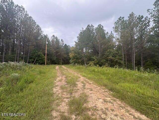 674 Rhodas Way Sunbright, TN 37872 - Photo 7 of 8 thumbnail_IMG_6649