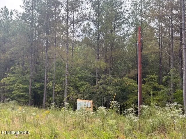 $170,000 | 674 Rhodas Way, Sunbright, TN 37872