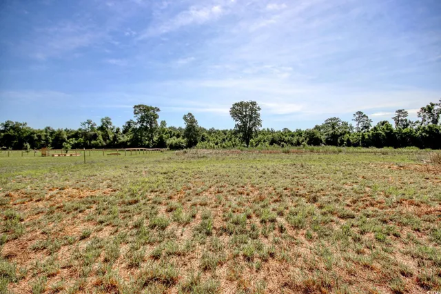 $199,000 | 176 Old Flowers Road, Johnsonville, SC 29555