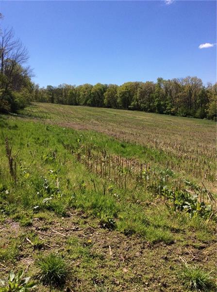 1858 Metz Road Indiana, PA 15701 - Photo 2 of 5