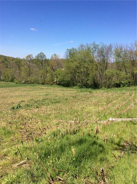 1858 Metz Road Indiana, PA 15701 - Photo 3 of 5