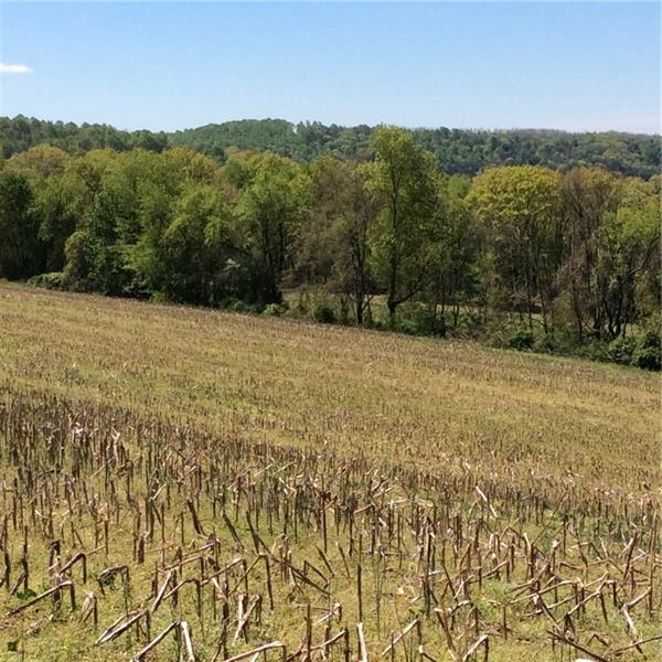 1858 Metz Road Indiana, PA 15701 - Photo 4 of 5