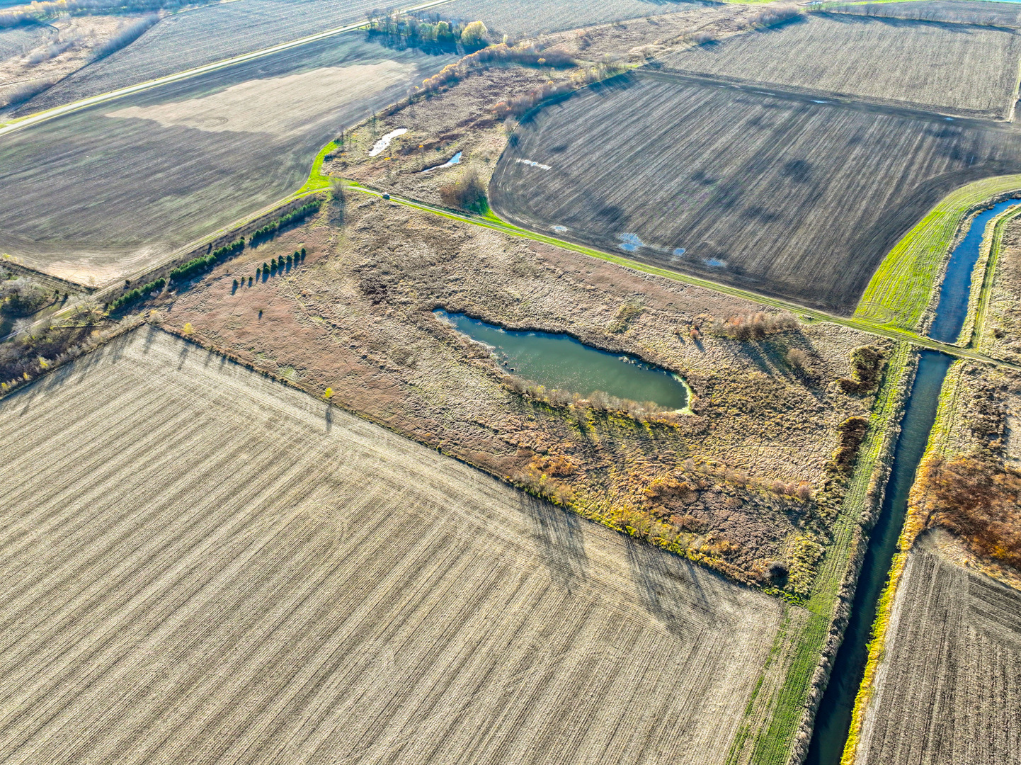 0 Cordova Road Erie, IL 61250 - Photo 13 of 80