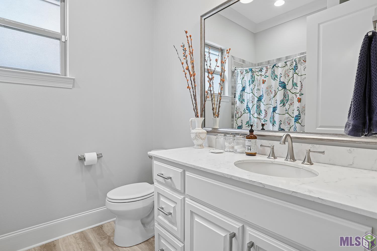 771 Elderflower Alley West Baton Rouge, LA 70806 - Photo 12 of 18