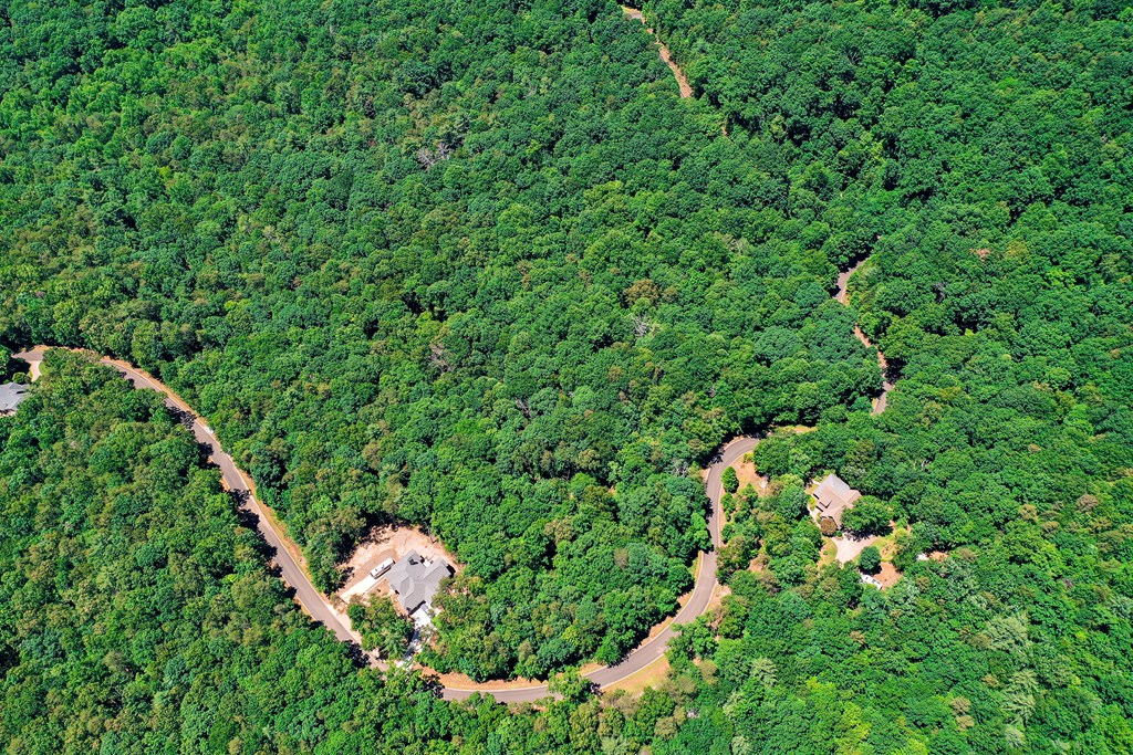 Lot 36 Abbott Mill Road Ellijay, GA 30540 - Photo 14 of 24 Gallery Image 14