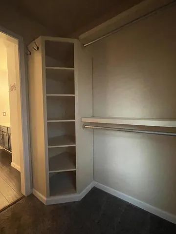 a view of an empty walk in closet