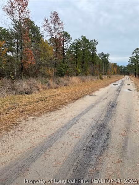Porcelain Lane Maxton, NC 28364 - Photo 1 of 4