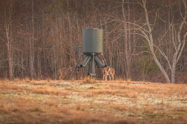 a backyard of a house with lots of green space and trees