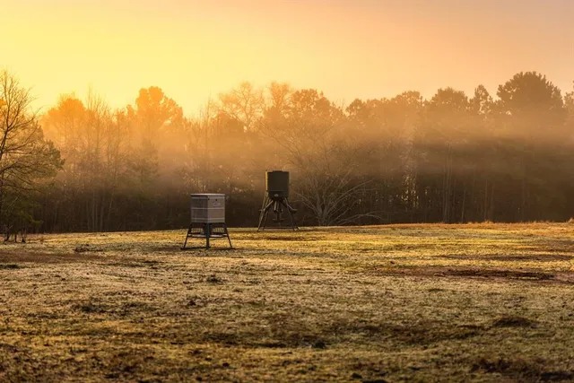 a view of a outdoor space