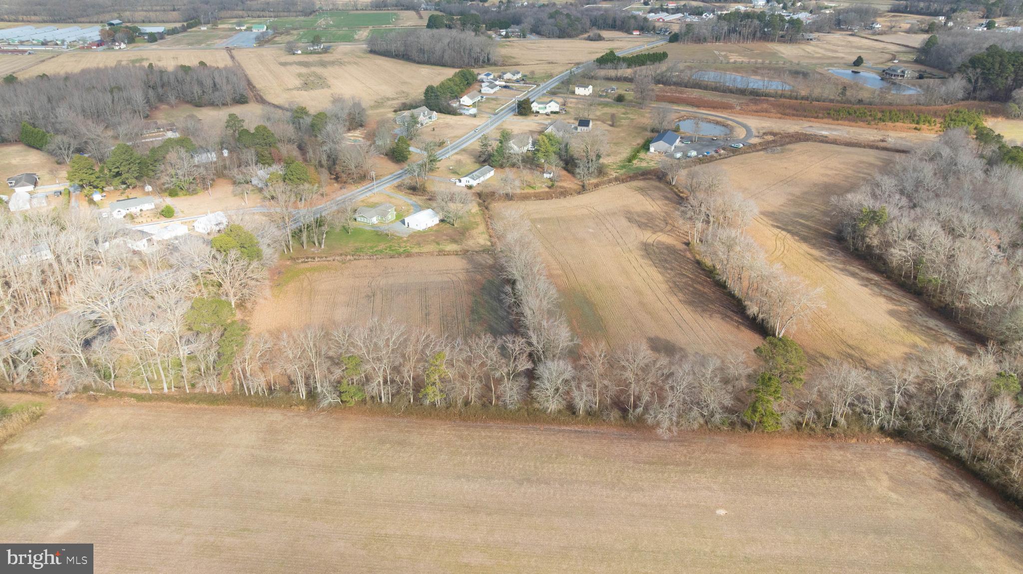 17 Rt 17 Selbyville, DE 19975 - Photo 2 of 4 a view of a dry yard with wooden fence