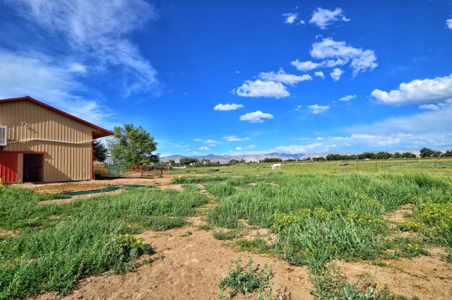 1064-19 19 1/2 Road Fruita, CO 81521 - Photo 8 of 31