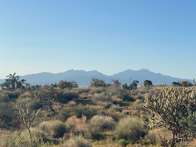 11.49-acres North Jack Rabbit Road Kingman, AZ 86409 - Photo 11 of 21 Gallery Image 11