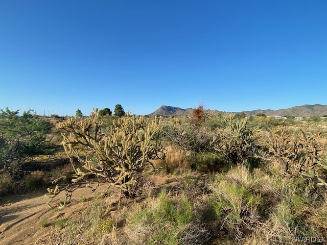 11.49-acres North Jack Rabbit Road Kingman, AZ 86409 - Photo 13 of 21 Gallery Image 13