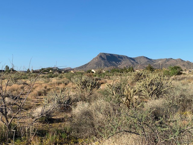11.49-acres North Jack Rabbit Road Kingman, AZ 86409 - Photo 5 of 21 Gallery Image 5