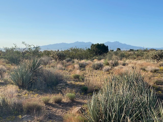 11.49-acres North Jack Rabbit Road Kingman, AZ 86409 - Photo 7 of 21 Gallery Image 7