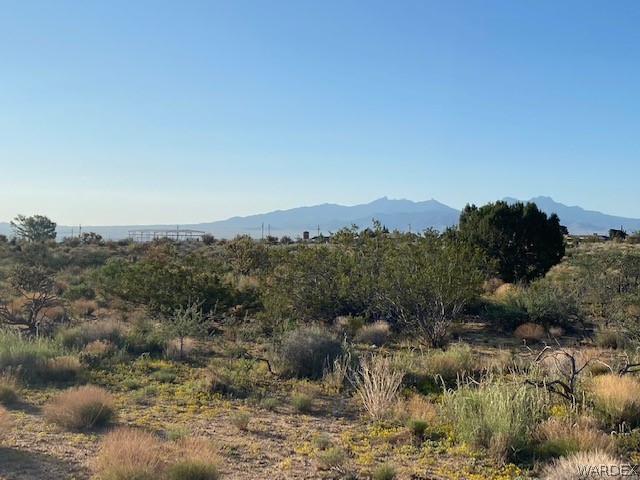 11.49-acres North Jack Rabbit Road Kingman, AZ 86409 - Photo 8 of 21 Gallery Image 8