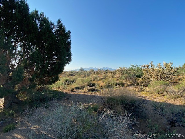 11.49-acres North Jack Rabbit Road Kingman, AZ 86409 - Photo 10 of 21 Gallery Image 10