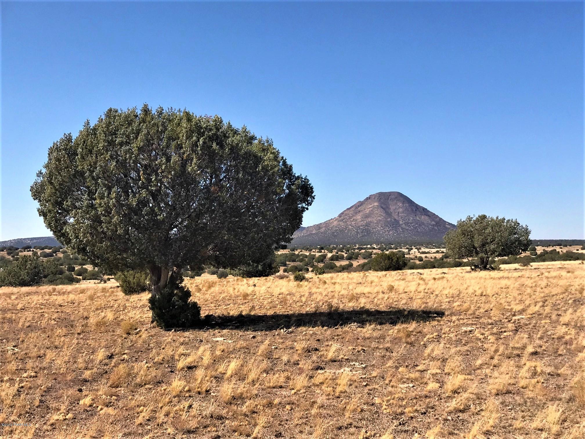 76 Off Of Rawhide Ranch Ash Fork, AZ 86320 - Photo 6 of 8 IMG_8443