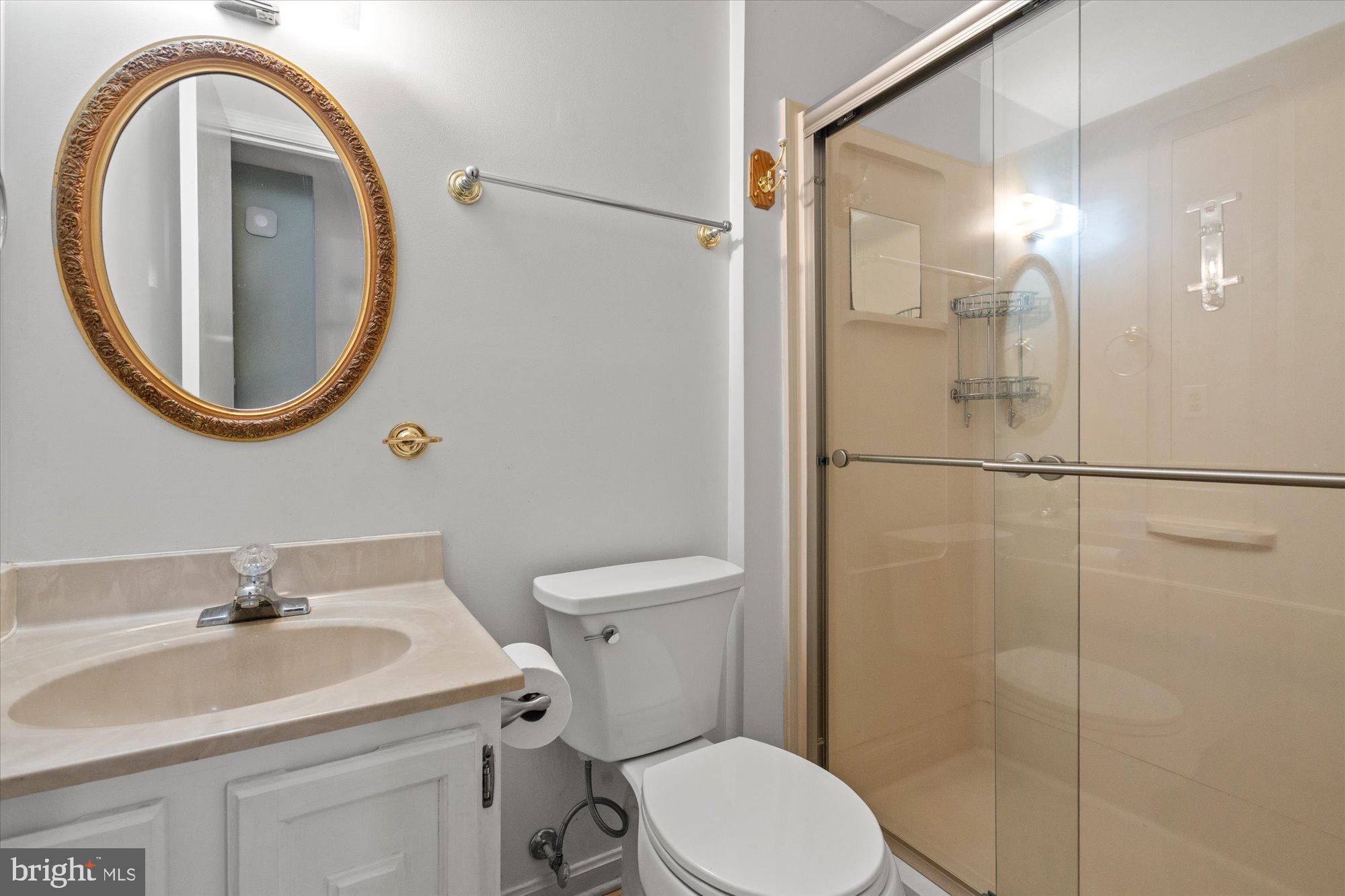 8138 Viola Street Springfield, VA 22152 - Photo 25 of 38 Full Bath - Lower Level