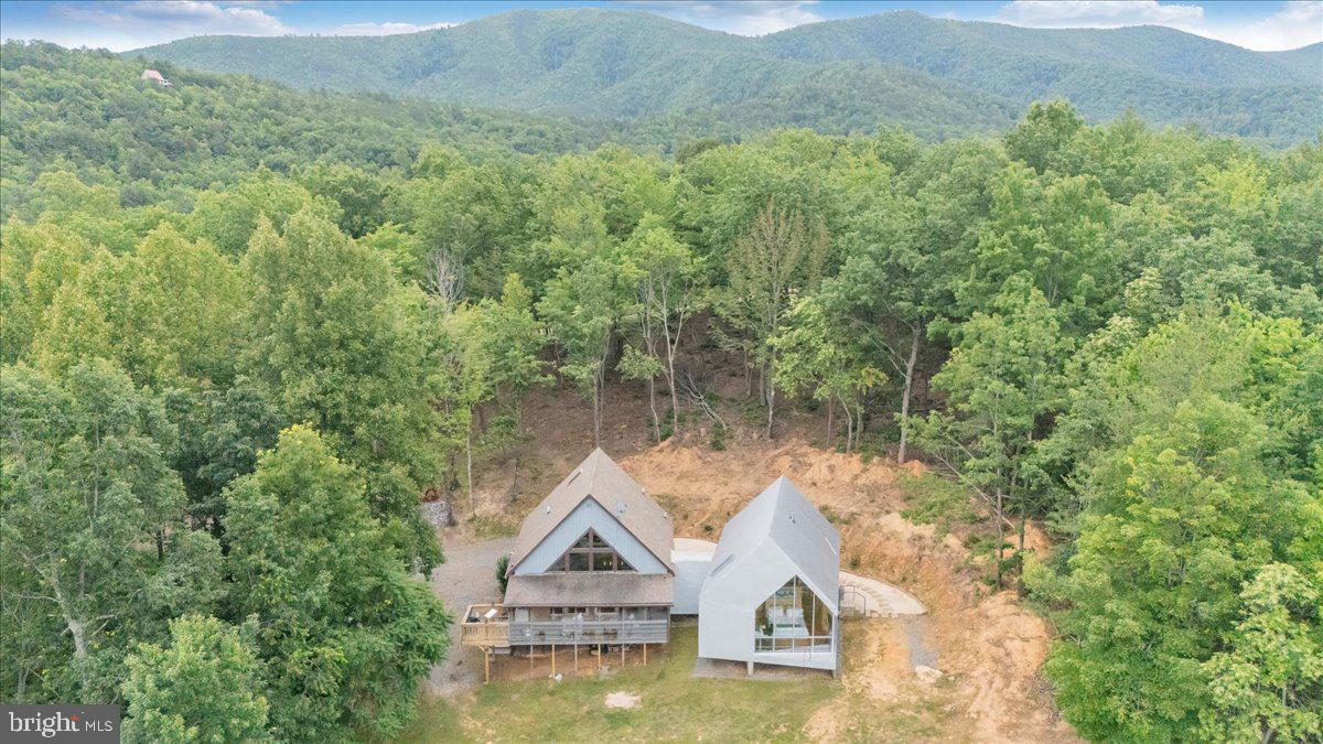 722 Foley Ridge Road Stuart, VA 24171 - Photo 60 of 67 Serene mountain retreat in lush greenery.